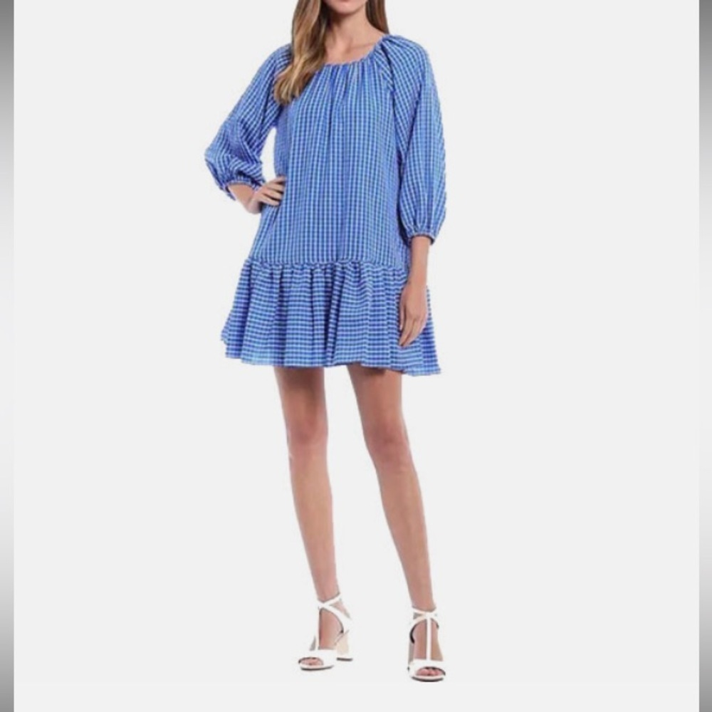 LDT “Rachel” minidress. Size 14. Blue/white check. Perfect condition.